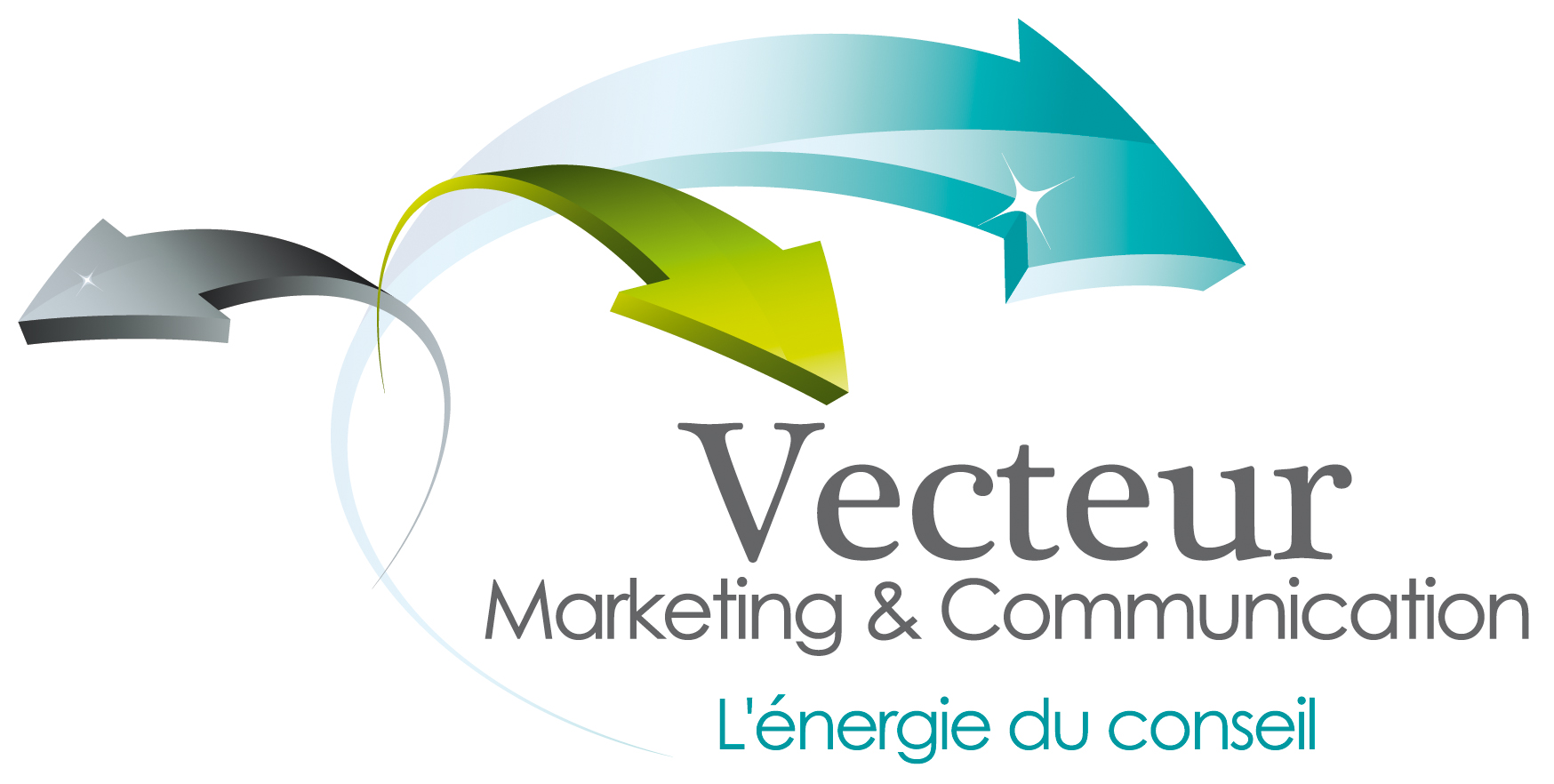 Logo VECTEUR MARKETING