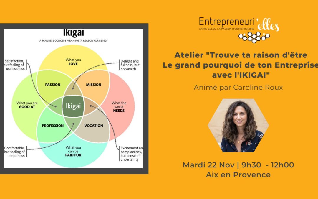 le grand pourquoi de ton Entreprise avec l'IKIGAI (1)