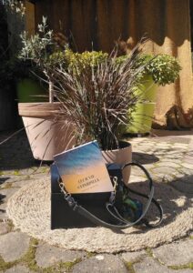 livre "leur vie s'éparpilla"