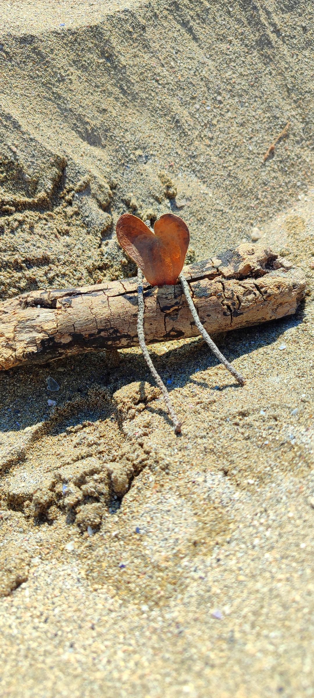 detail land art barque coeur sand art